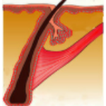 Profile photo of Hairtransplant guwahati