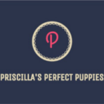 Profile photo of Priscillas Perfect Puppies
