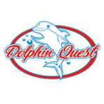 Profile photo of Dolphin Quest