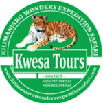 Profile photo of Kwesa Tours