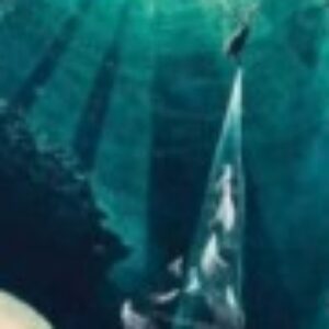 Profile photo of Deve Dave