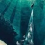 Profile photo of Deve Dave