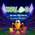Profile photo of bdtt xoilac86tv