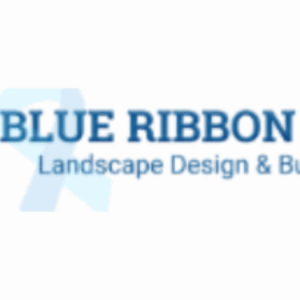 Profile photo of Blueribbons Scape