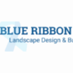 Profile photo of Blueribbons Scape
