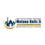 Profile photo of Molana Hafiz Ji