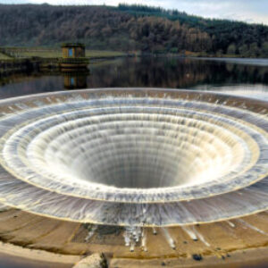 Profile photo of Srity Pawan