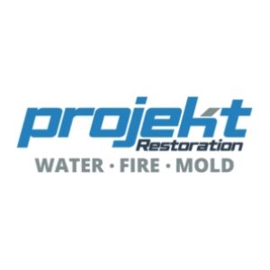 Profile photo of Projekt Restoration
