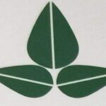 Profile photo of Seceon company